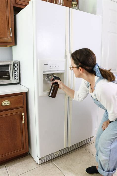 How To Clean Refrigerator Water Dispenser 3 Ways to Clean a Fridge Water Dispenser - wikiHow